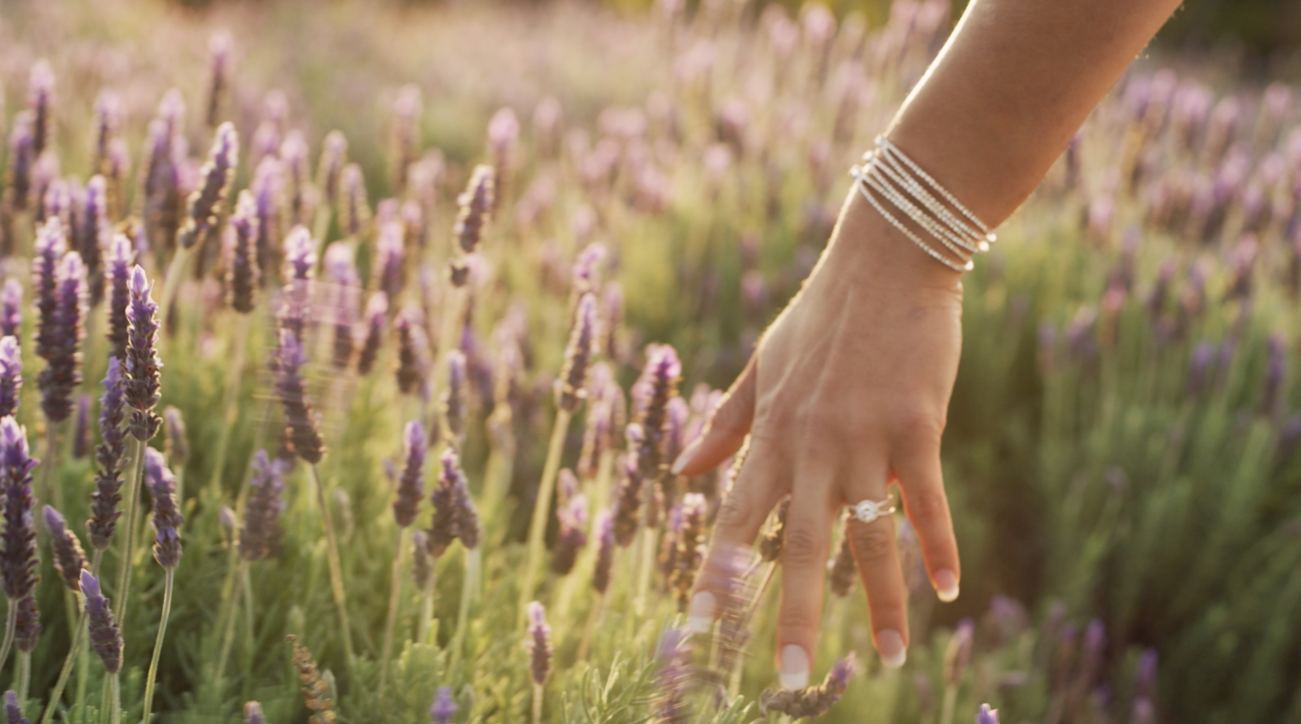 Breathtaking photos in a field of lilac.